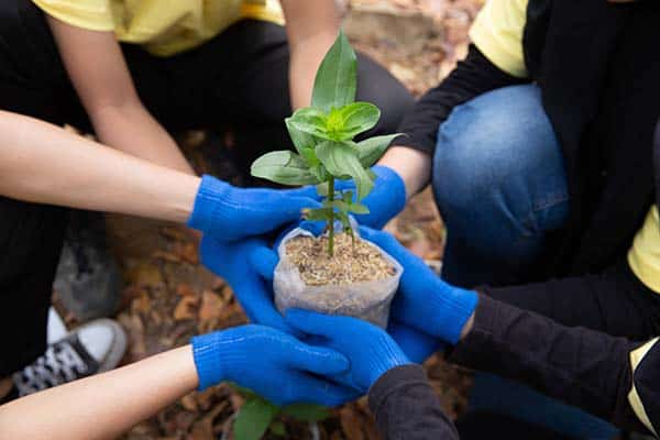 team members working together to save the planet