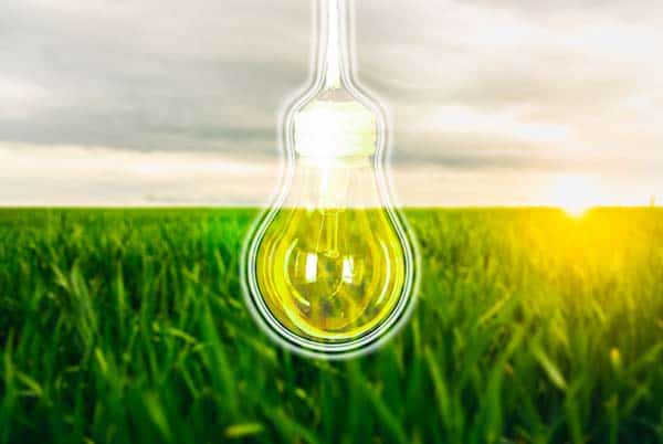 eco friendly light bulbs