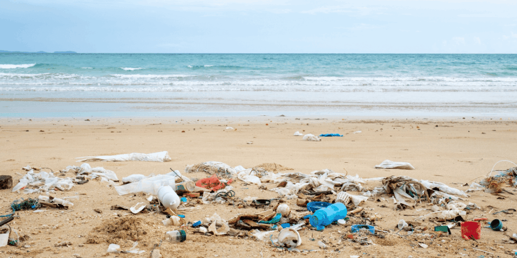 plastic pollution on the beach