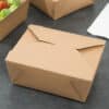 8" BioPlus Terra II folded carton 300 case