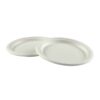 Round Fiber Plate, White - Eco-pliant