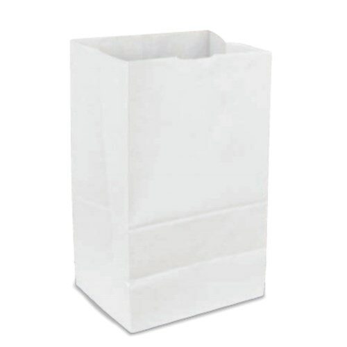 8 1/4" x 5 5/16" x 16 1/8" White Paper Bag (500/case)